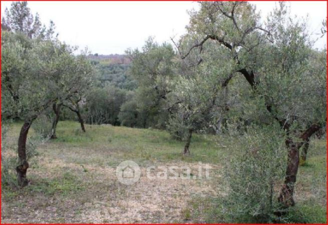 Terreno edificabile in residenziale in Strada Provinciale 180