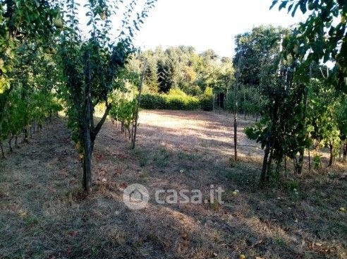 Terreno agricolo in commerciale in Via San Felice