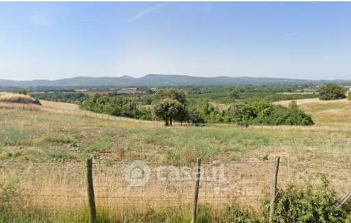 Terreno agricolo in commerciale in Via delle Viole