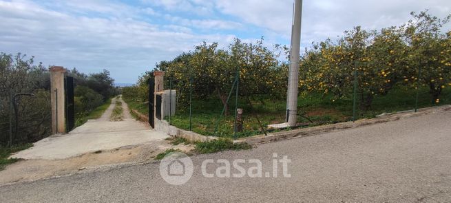 Terreno agricolo in commerciale in Via Dei Limoni