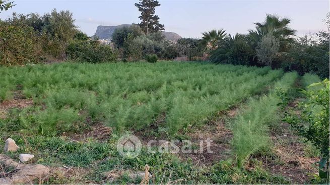 Terreno agricolo in commerciale in Strada Statale 113 Settentrionale Sicula