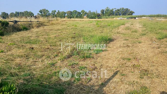 Terreno agricolo in commerciale in Via Casal dei Venti 15 b