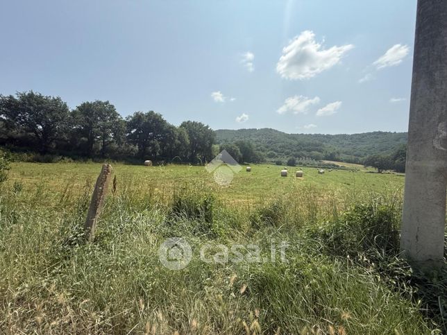 Terreno agricolo in commerciale in vocabolo Bagno