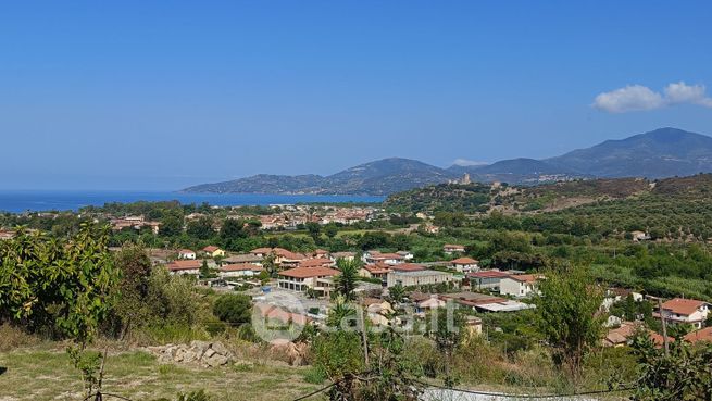 Terreno agricolo in commerciale in Via Grisi