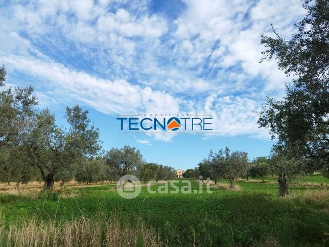 Terreno agricolo in commerciale in Contrada San Venanzio