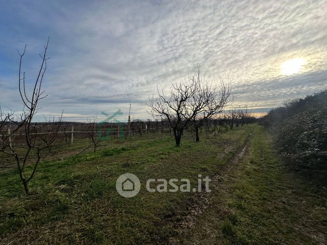 Terreno agricolo in commerciale in Strada Provinciale 37