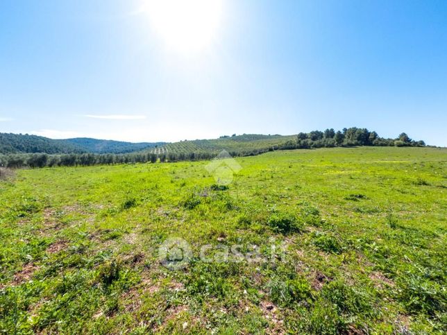 Terreno agricolo in commerciale in 