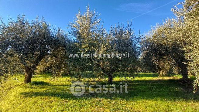 Terreno agricolo in commerciale in 