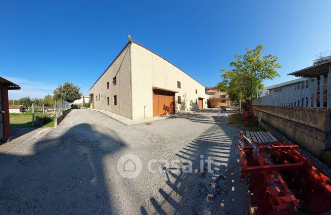 Capannone in commerciale in