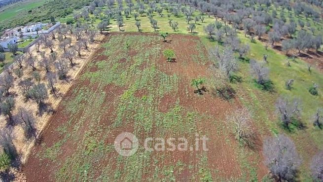 Terreno agricolo in commerciale in Strada Comunale Santa Venia