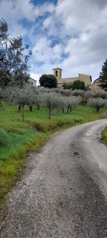 Terreno agricolo in commerciale in Via Limigiano