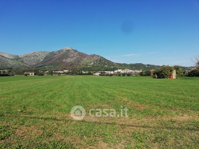 Terreno agricolo in commerciale in Sp 336