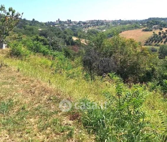 Terreno agricolo in commerciale in Strada Provinciale 77