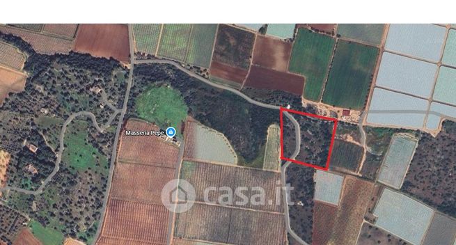 Terreno agricolo in commerciale in Strada Provinciale per Mola