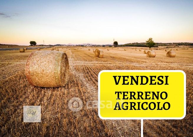 Terreno agricolo in commerciale in 