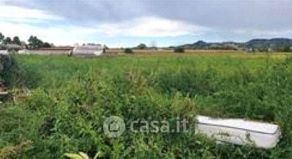 Terreno agricolo in commerciale in 