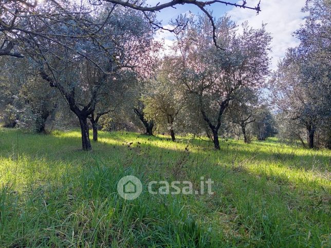 Terreno agricolo in commerciale in Strada Beato Tommaso da Cori