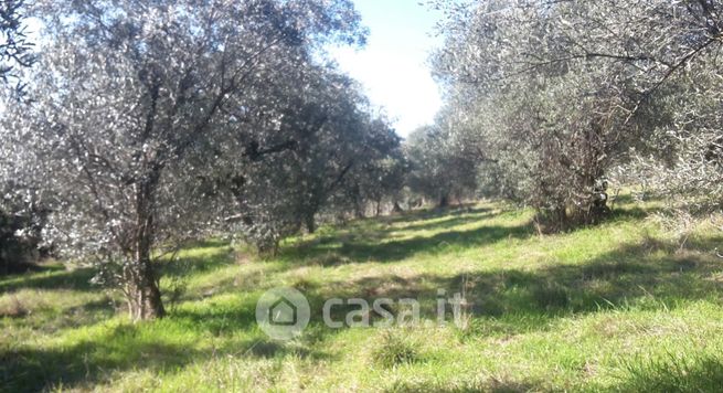 Terreno agricolo in commerciale in Via dei cipressi romagnano