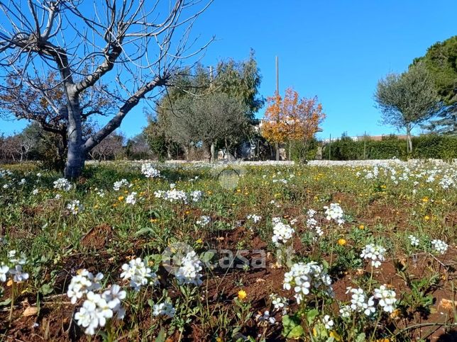 Terreno agricolo in commerciale in Strada Comunale Parco di Rizzo