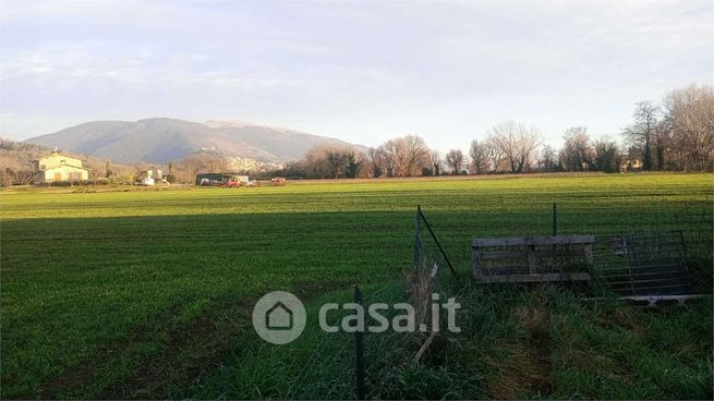 Terreno agricolo in commerciale in Via Bastia