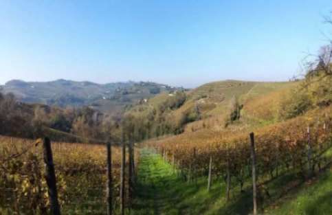 Terreno agricolo in commerciale in Piazza Amedeo d'Aosta