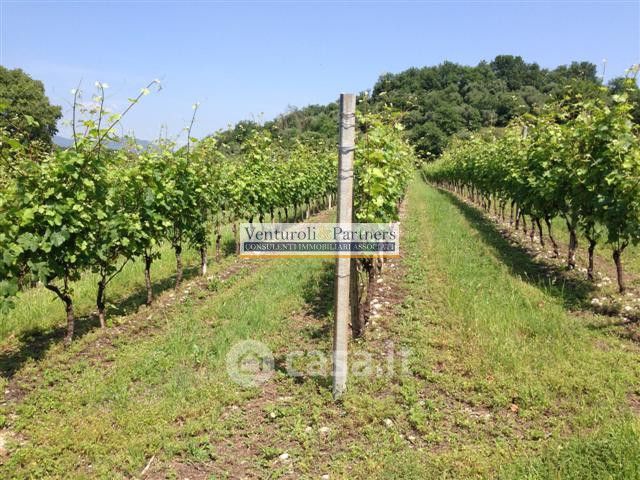 Terreno agricolo in commerciale in Via Grezze