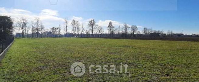 Terreno agricolo in commerciale in Strada del Confine