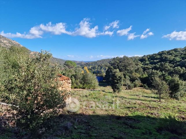 Terreno agricolo in commerciale in Via Sole Ruju