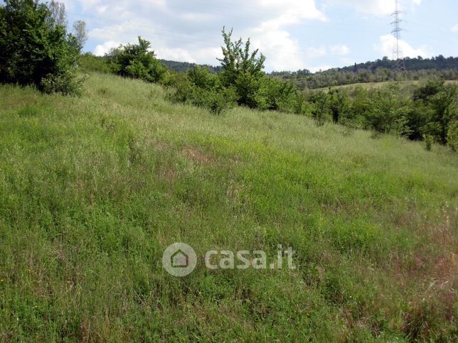 Terreno agricolo in commerciale in Via Forlivese