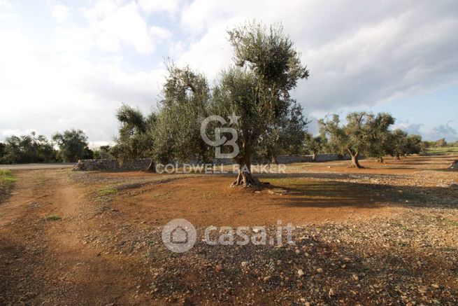 Terreno agricolo in commerciale in Via Frà Giacomo