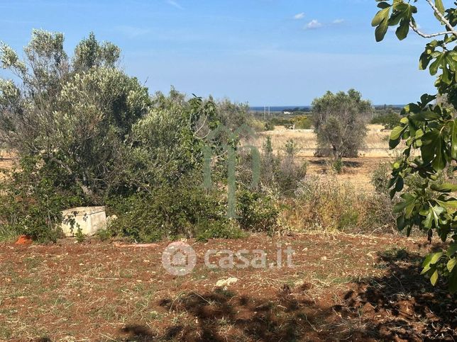 Terreno agricolo in commerciale in Contrada Bufalaria