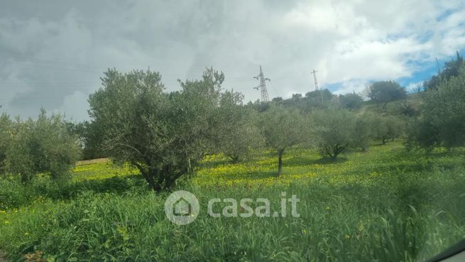 Terreno agricolo in commerciale in Contrada savarino