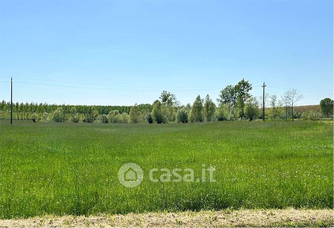 Terreno agricolo in commerciale in Via Roma 1