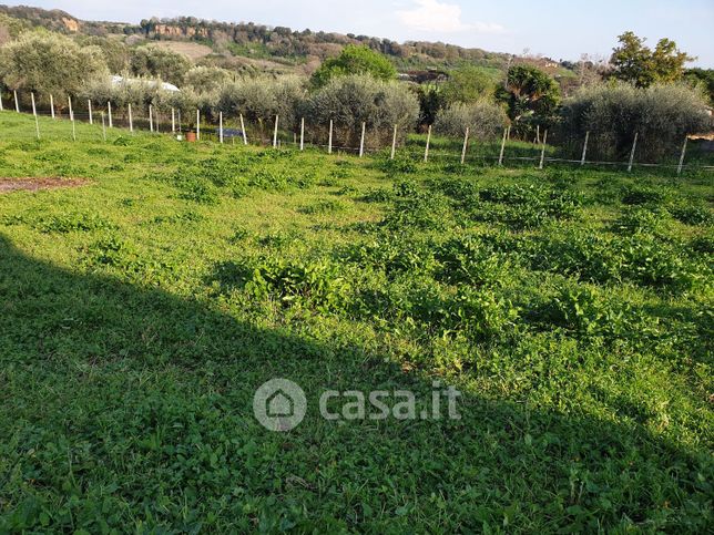 Terreno agricolo in commerciale in Via Settevene Palo