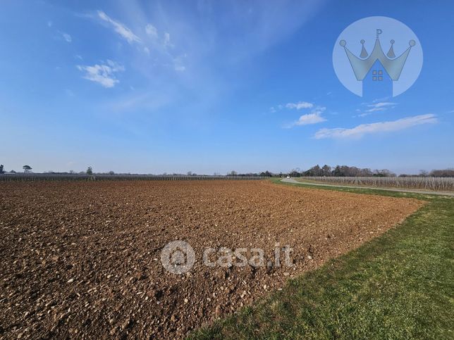 Terreno agricolo in commerciale in Via dei Campi