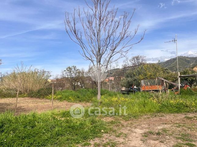 Terreno agricolo in commerciale in Contrada Calabro