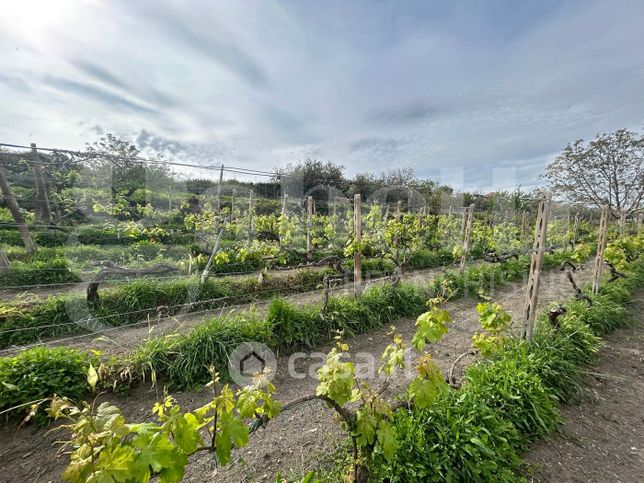 Terreno agricolo in commerciale in Via Castel de Paolis 15