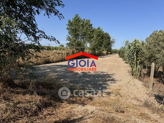 Terreno agricolo in commerciale in Via Domiziana