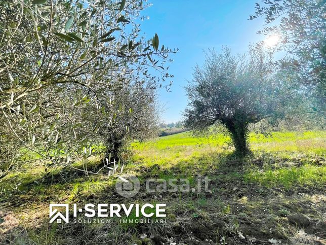Terreno agricolo in commerciale in Via Panoramica 36