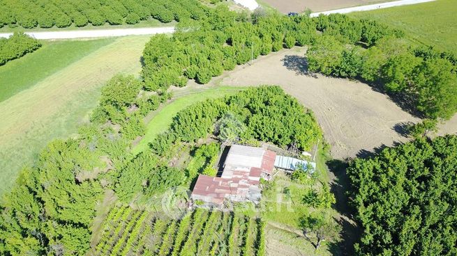 Terreno agricolo in commerciale in Strada Montenero 40