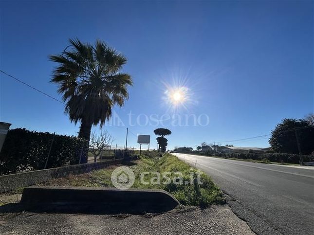 Terreno agricolo in commerciale in Strada Statale 148