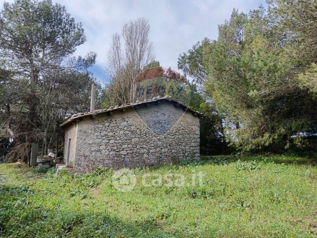 Terreno agricolo in commerciale in Contrada Rito