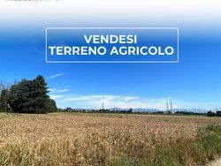 Terreno agricolo in commerciale in Via Vittorio Veneto