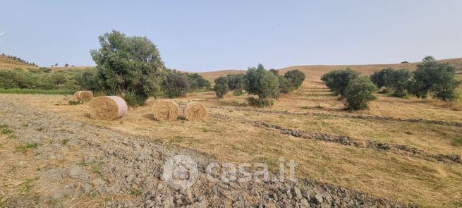 Terreno agricolo in commerciale in Viale Tagliamento 1