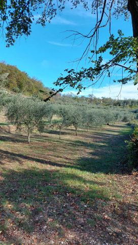 Terreno edificabile in residenziale in Via Sant'Eusebio