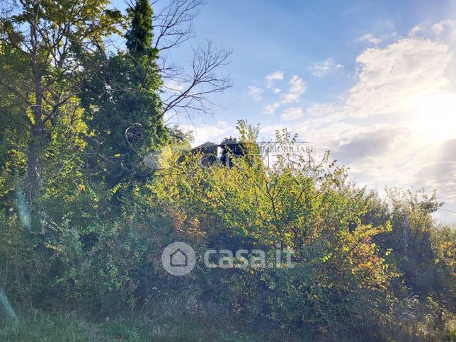 Terreno agricolo in commerciale in Strada Pontenese