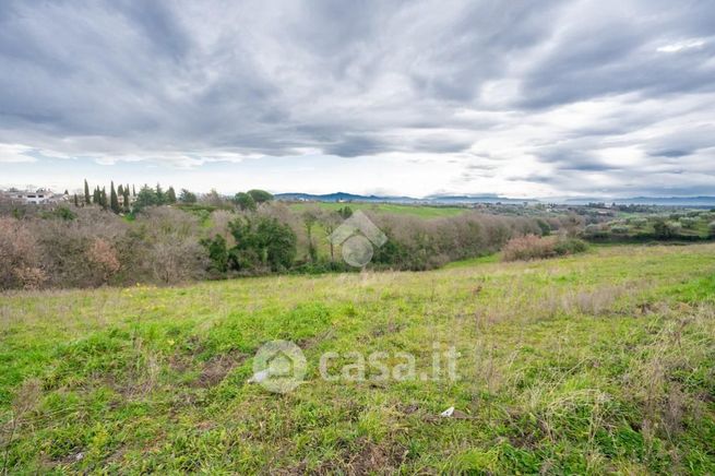 Terreno agricolo in commerciale in Via Sacrofano-Prima Porta