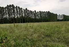 Terreno agricolo in commerciale in Via Cortellazzo