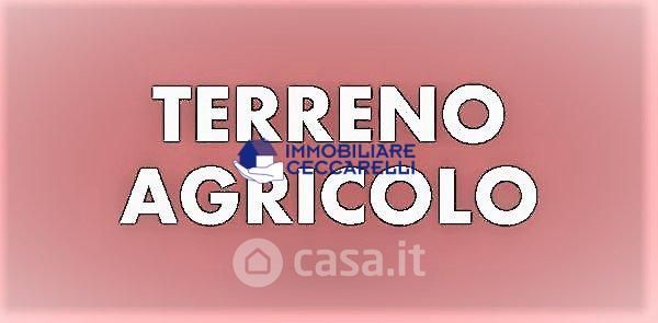 Terreno agricolo in commerciale in Via Silcia 66
