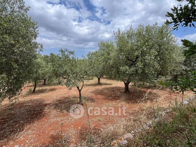 Terreno agricolo in commerciale in Contrada Chiatante